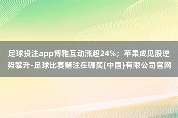 足球投注app博雅互动涨超24%；苹果成见股逆势攀升-足球比赛赌注在哪买(中国)有限公司官网