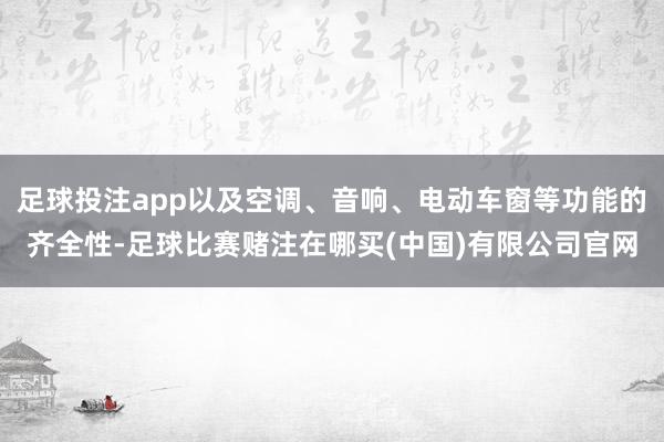 足球投注app以及空调、音响、电动车窗等功能的齐全性-足球比赛赌注在哪买(中国)有限公司官网