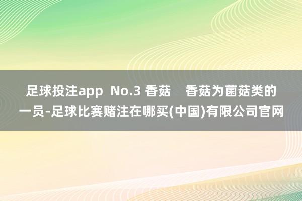 足球投注app  No.3 香菇    香菇为菌菇类的一员-足球比赛赌注在哪买(中国)有限公司官网