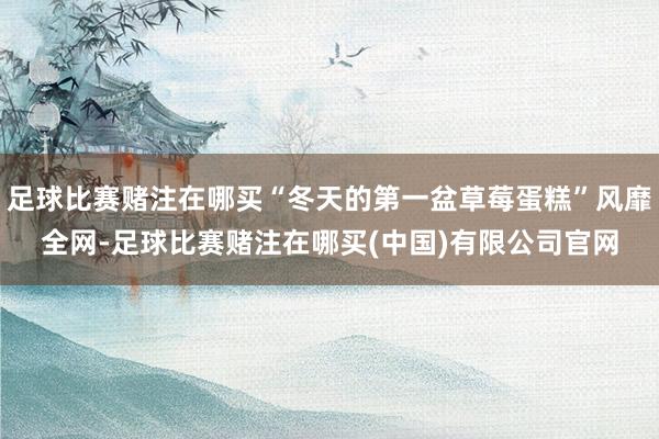 足球比赛赌注在哪买“冬天的第一盆草莓蛋糕”风靡全网-足球比赛赌注在哪买(中国)有限公司官网