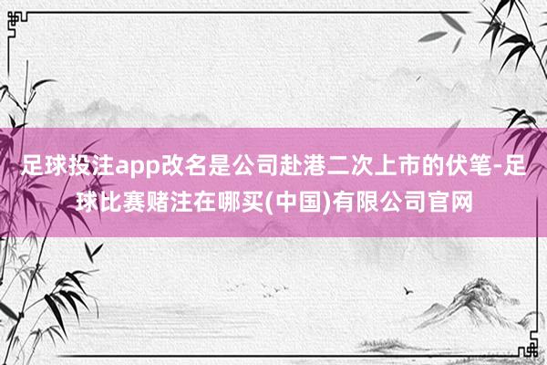 足球投注app改名是公司赴港二次上市的伏笔-足球比赛赌注在哪买(中国)有限公司官网