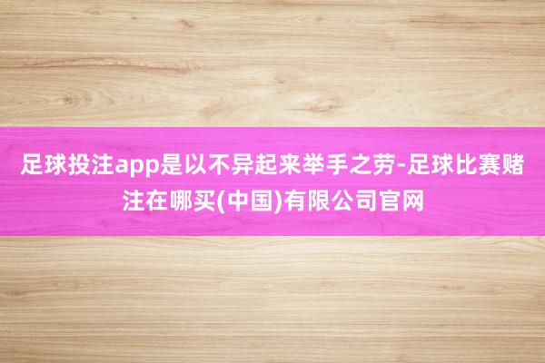 足球投注app是以不异起来举手之劳-足球比赛赌注在哪买(中国)有限公司官网