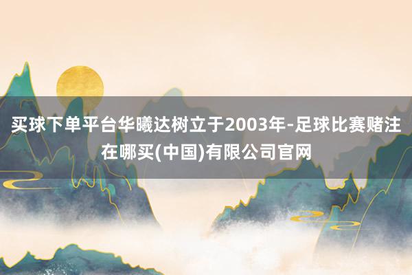 买球下单平台华曦达树立于2003年-足球比赛赌注在哪买(中国)有限公司官网