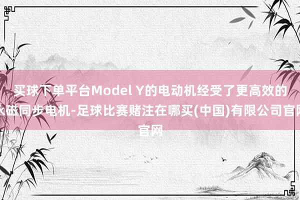 买球下单平台Model Y的电动机经受了更高效的永磁同步电机-足球比赛赌注在哪买(中国)有限公司官网
