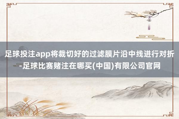 足球投注app将裁切好的过滤膜片沿中线进行对折-足球比赛赌注在哪买(中国)有限公司官网