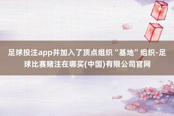 足球投注app并加入了顶点组织“基地”组织-足球比赛赌注在哪买(中国)有限公司官网