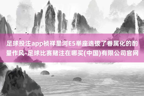 足球投注app祯祥星河E5举座选拔了眷属化的酌量作风-足球比赛赌注在哪买(中国)有限公司官网