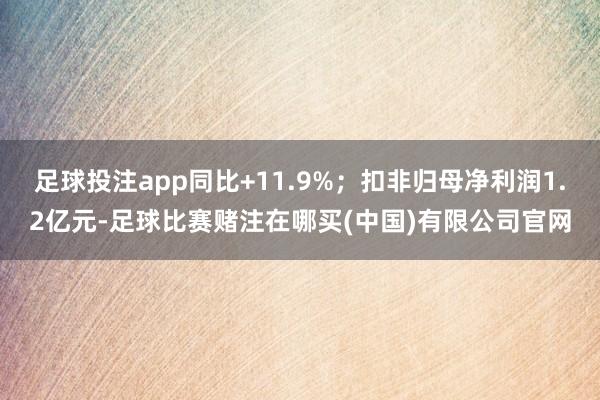 足球投注app同比+11.9%；扣非归母净利润1.2亿元-足球比赛赌注在哪买(中国)有限公司官网