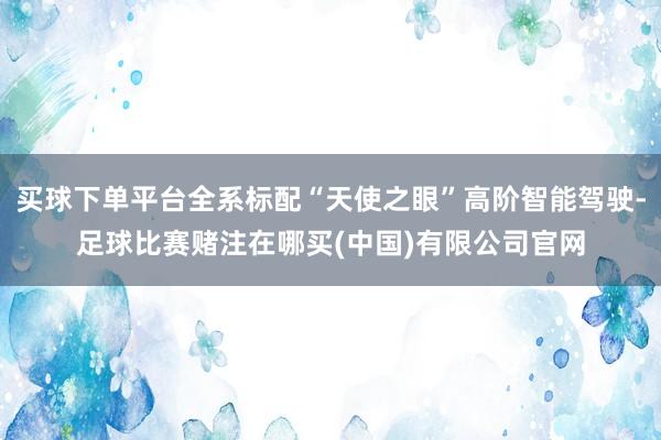 买球下单平台全系标配“天使之眼”高阶智能驾驶-足球比赛赌注在哪买(中国)有限公司官网