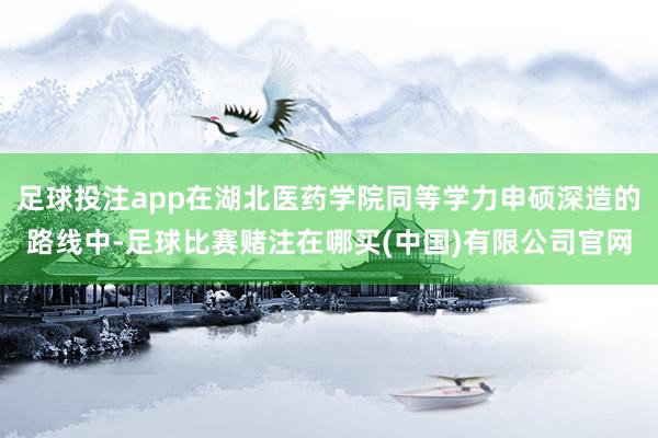 足球投注app在湖北医药学院同等学力申硕深造的路线中-足球比赛赌注在哪买(中国)有限公司官网