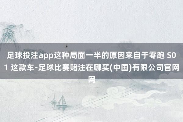 足球投注app这种局面一半的原因来自于零跑 S01 这款车-足球比赛赌注在哪买(中国)有限公司官网