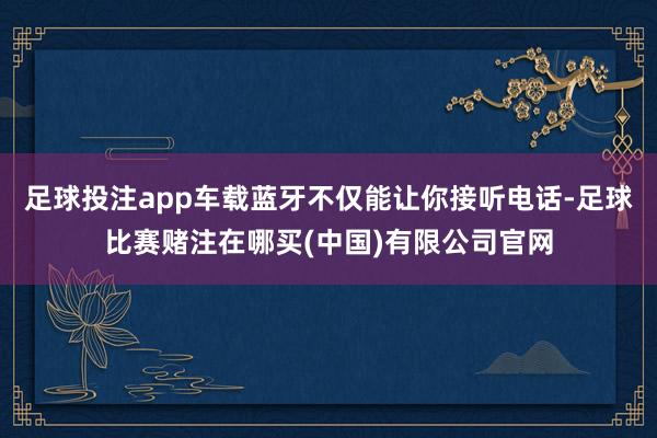 足球投注app车载蓝牙不仅能让你接听电话-足球比赛赌注在哪买(中国)有限公司官网