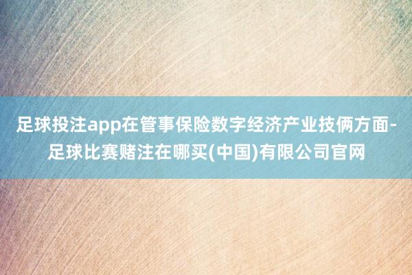 足球投注app在管事保险数字经济产业技俩方面-足球比赛赌注在哪买(中国)有限公司官网