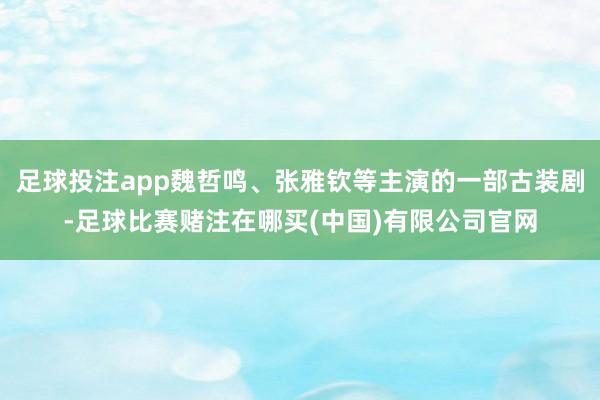 足球投注app魏哲鸣、张雅钦等主演的一部古装剧-足球比赛赌注在哪买(中国)有限公司官网
