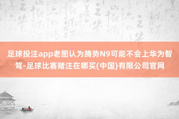足球投注app老图认为腾势N9可能不会上华为智驾-足球比赛赌注在哪买(中国)有限公司官网