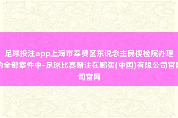 足球投注app上海市奉贤区东说念主民搜检院办理的全部案件中-足球比赛赌注在哪买(中国)有限公司官网