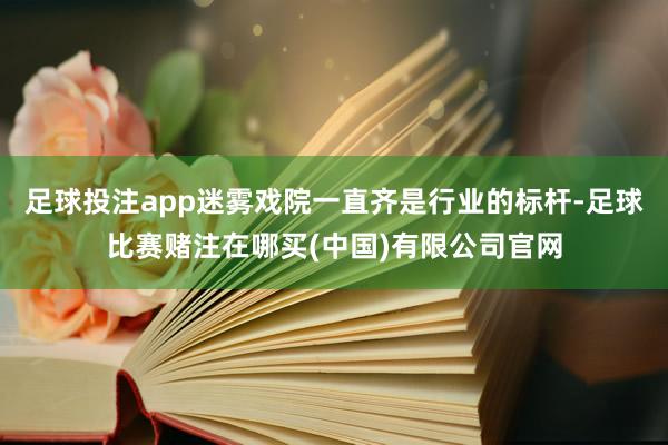 足球投注app迷雾戏院一直齐是行业的标杆-足球比赛赌注在哪买(中国)有限公司官网
