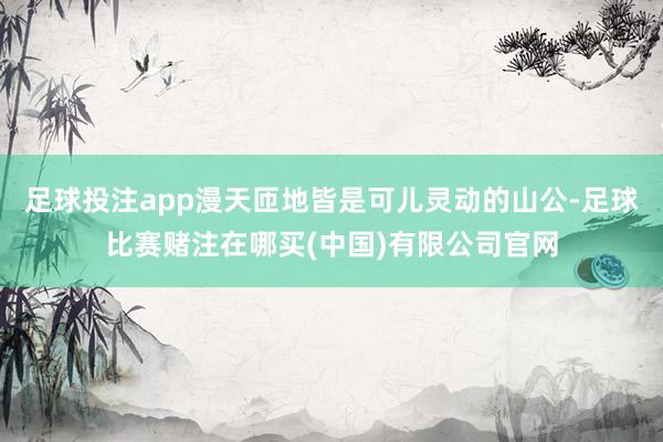 足球投注app漫天匝地皆是可儿灵动的山公-足球比赛赌注在哪买(中国)有限公司官网