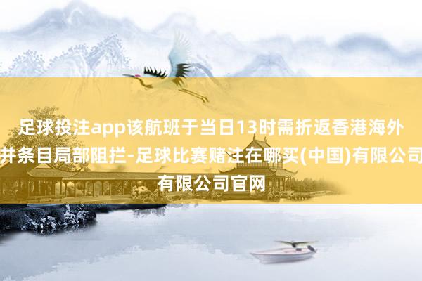 足球投注app该航班于当日13时需折返香港海外机场并条目局部阻拦-足球比赛赌注在哪买(中国)有限公司官网