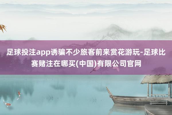 足球投注app诱骗不少旅客前来赏花游玩-足球比赛赌注在哪买(中国)有限公司官网