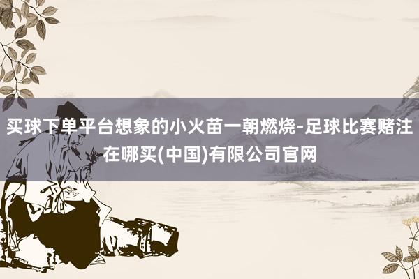 买球下单平台想象的小火苗一朝燃烧-足球比赛赌注在哪买(中国)有限公司官网