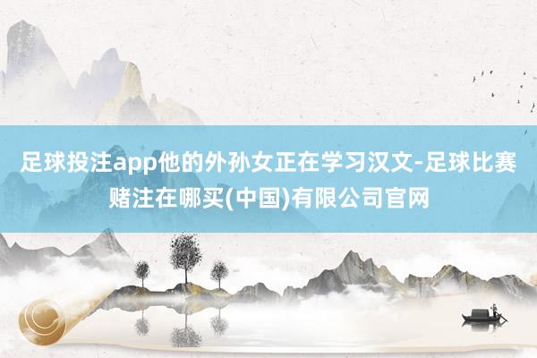 足球投注app他的外孙女正在学习汉文-足球比赛赌注在哪买(中国)有限公司官网