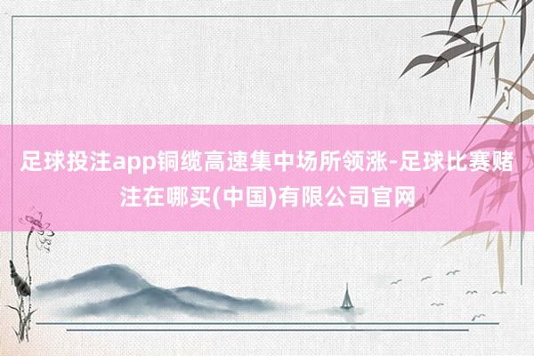 足球投注app铜缆高速集中场所领涨-足球比赛赌注在哪买(中国)有限公司官网