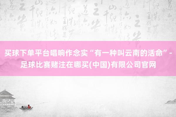 买球下单平台唱响作念实“有一种叫云南的活命”-足球比赛赌注在哪买(中国)有限公司官网