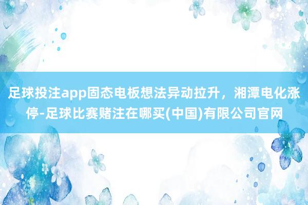 足球投注app固态电板想法异动拉升，湘潭电化涨停-足球比赛赌注在哪买(中国)有限公司官网