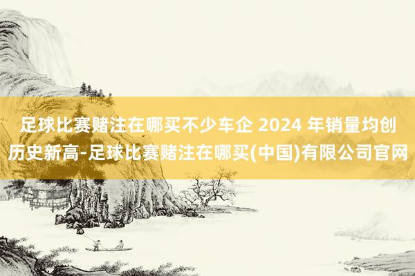 足球比赛赌注在哪买不少车企 2024 年销量均创历史新高-足球比赛赌注在哪买(中国)有限公司官网