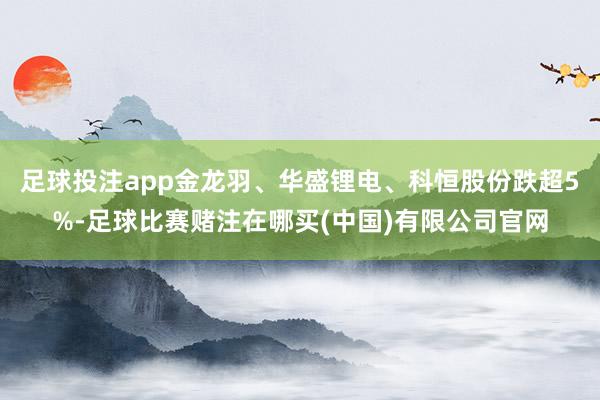 足球投注app金龙羽、华盛锂电、科恒股份跌超5%-足球比赛赌注在哪买(中国)有限公司官网