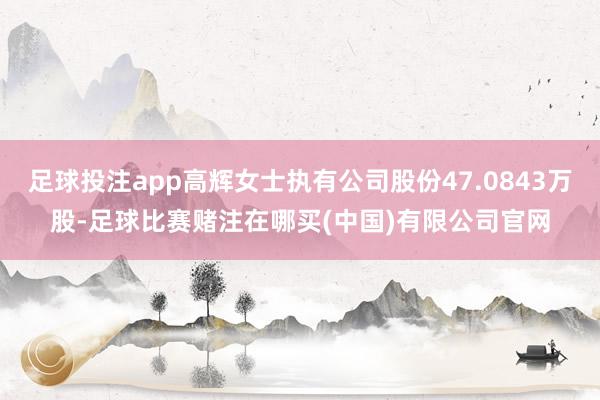 足球投注app高辉女士执有公司股份47.0843万股-足球比赛赌注在哪买(中国)有限公司官网