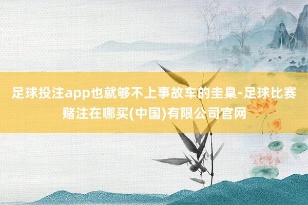 足球投注app也就够不上事故车的圭臬-足球比赛赌注在哪买(中国)有限公司官网