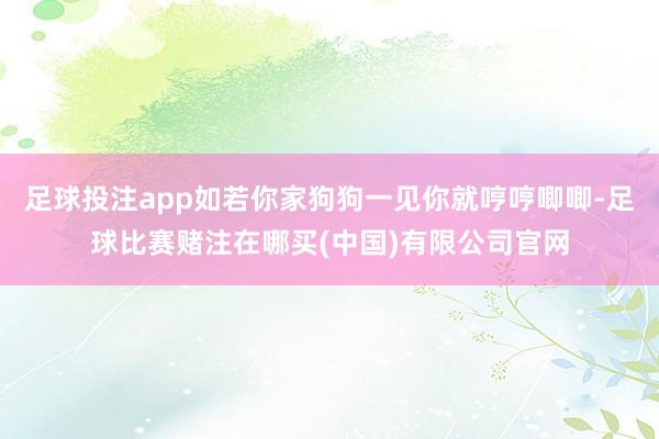 足球投注app如若你家狗狗一见你就哼哼唧唧-足球比赛赌注在哪买(中国)有限公司官网