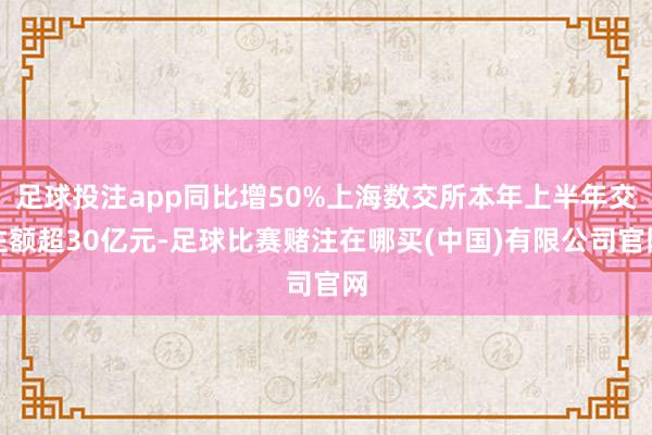 足球投注app同比增50%上海数交所本年上半年交往额超30亿元-足球比赛赌注在哪买(中国)有限公司官网