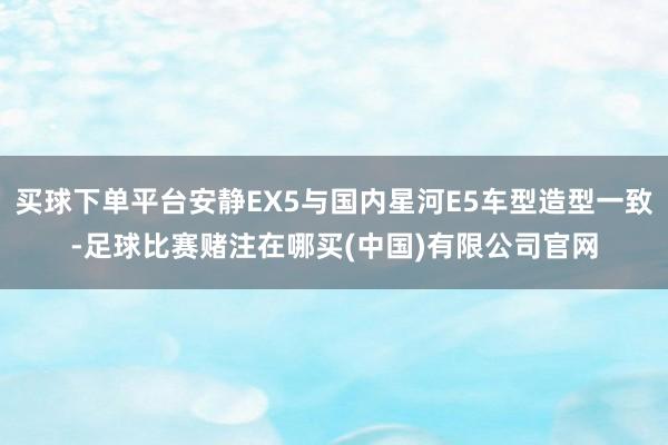 买球下单平台安静EX5与国内星河E5车型造型一致-足球比赛赌注在哪买(中国)有限公司官网