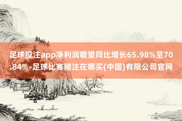 足球投注app净利润瞻望同比增长65.98%至70.84%-足球比赛赌注在哪买(中国)有限公司官网