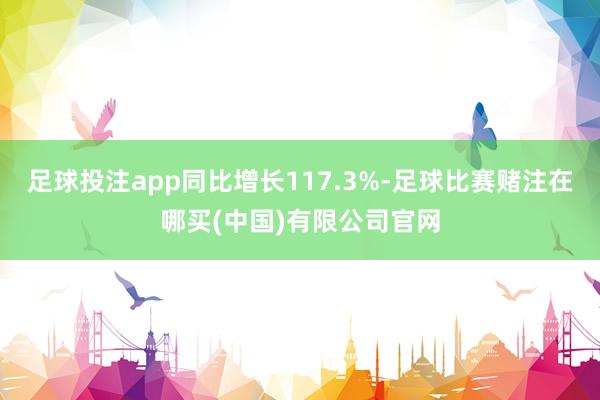 足球投注app同比增长117.3%-足球比赛赌注在哪买(中国)有限公司官网