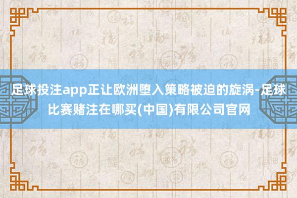 足球投注app正让欧洲堕入策略被迫的旋涡-足球比赛赌注在哪买(中国)有限公司官网