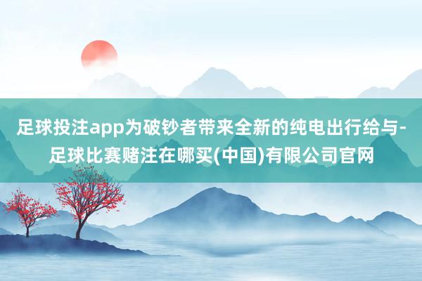 足球投注app为破钞者带来全新的纯电出行给与-足球比赛赌注在哪买(中国)有限公司官网