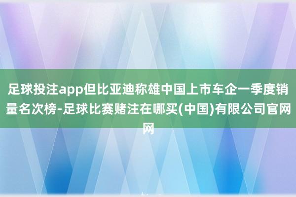 足球投注app但比亚迪称雄中国上市车企一季度销量名次榜-足球比赛赌注在哪买(中国)有限公司官网