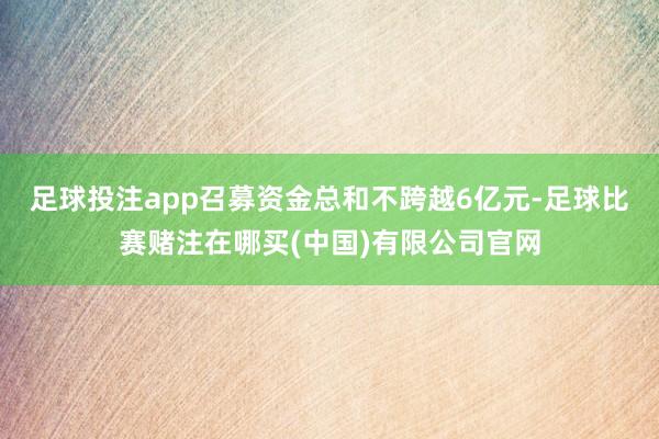 足球投注app召募资金总和不跨越6亿元-足球比赛赌注在哪买(中国)有限公司官网