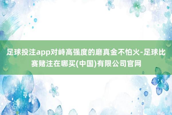 足球投注app对峙高强度的磨真金不怕火-足球比赛赌注在哪买(中国)有限公司官网