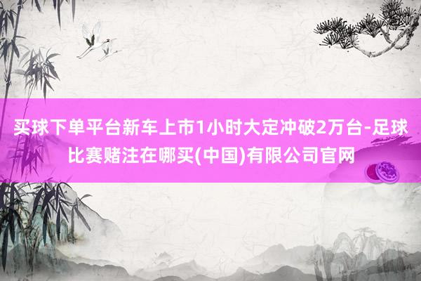 买球下单平台新车上市1小时大定冲破2万台-足球比赛赌注在哪买(中国)有限公司官网