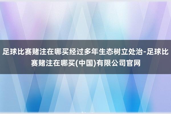 足球比赛赌注在哪买经过多年生态树立处治-足球比赛赌注在哪买(中国)有限公司官网