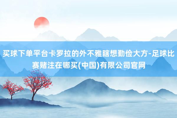 买球下单平台卡罗拉的外不雅瞎想勤俭大方-足球比赛赌注在哪买(中国)有限公司官网