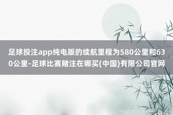 足球投注app纯电版的续航里程为580公里和630公里-足球比赛赌注在哪买(中国)有限公司官网