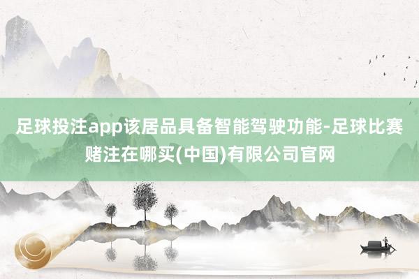 足球投注app该居品具备智能驾驶功能-足球比赛赌注在哪买(中国)有限公司官网