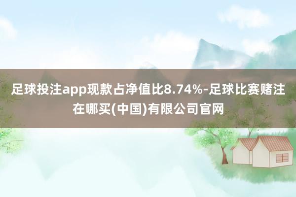 足球投注app现款占净值比8.74%-足球比赛赌注在哪买(中国)有限公司官网