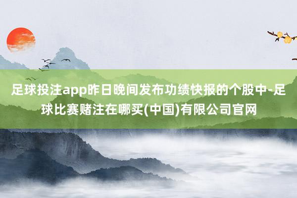足球投注app昨日晚间发布功绩快报的个股中-足球比赛赌注在哪买(中国)有限公司官网